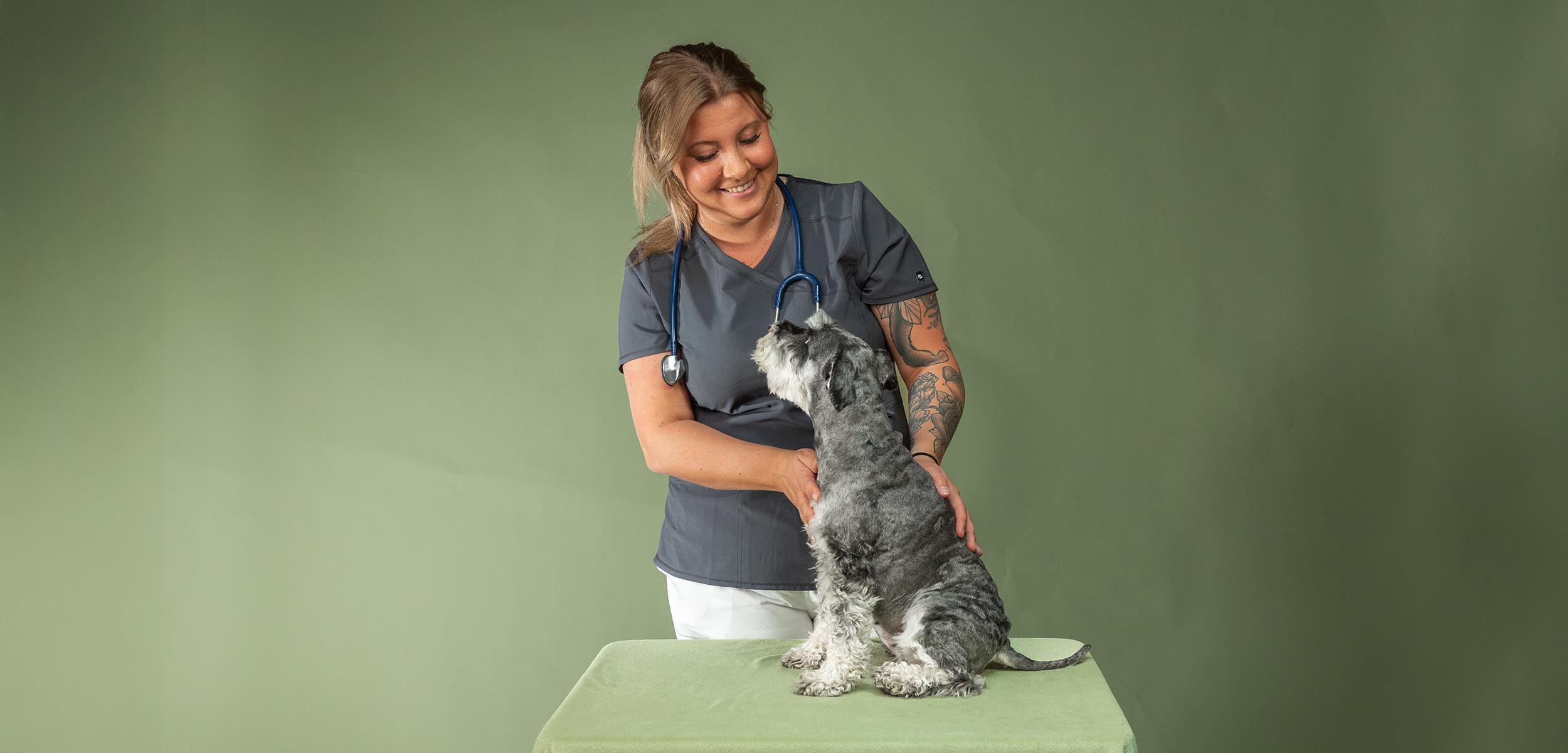 Veterinärkliniken Slottsmöllan huvudbild